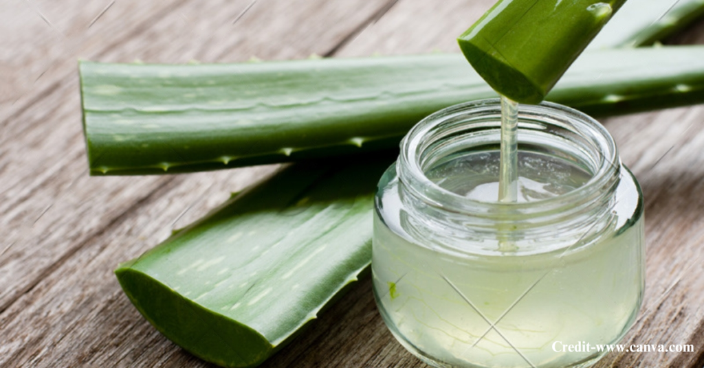 DIY Homemade Natural Shampoo Recipes