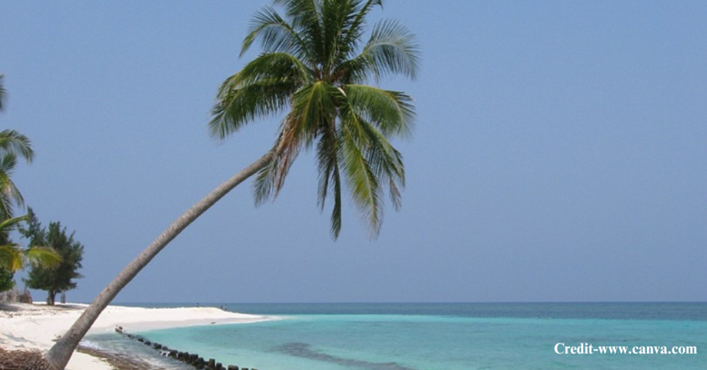 Lakshadweep Honeymoon Packages