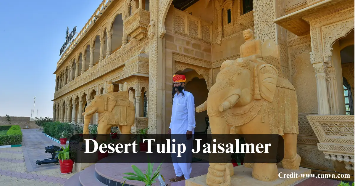 Desert Tulip Jaisalmer