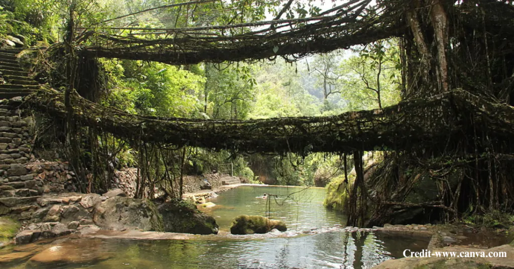 Summer in Meghalaya