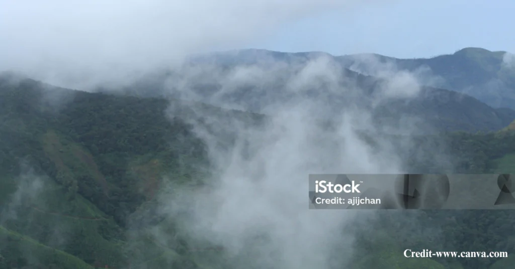 Winter in Wayanad