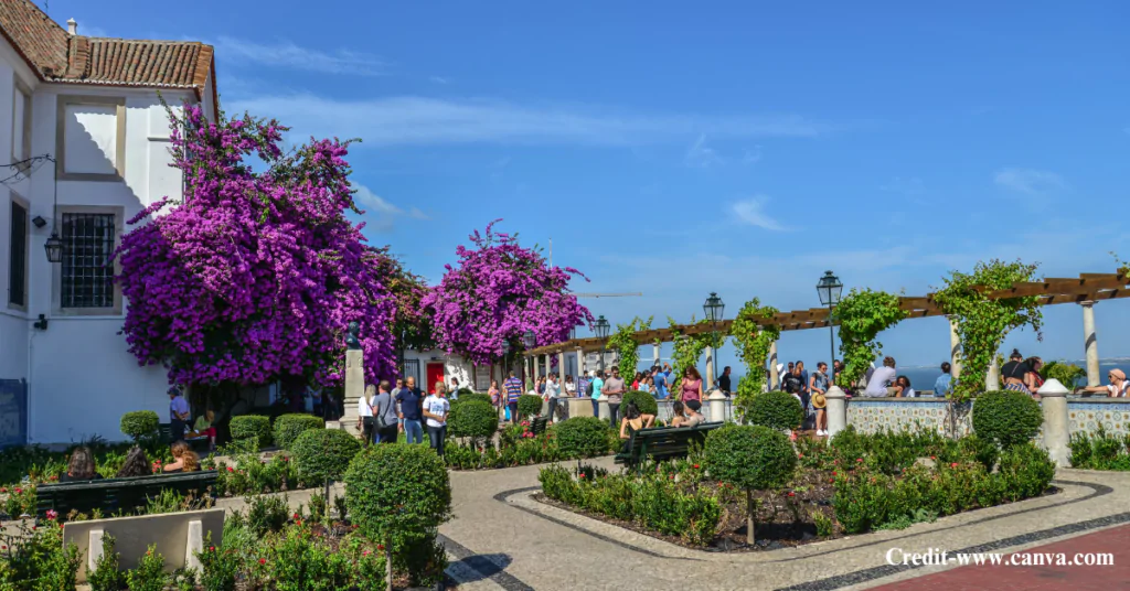 Spring in Portugal