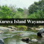 Kuruva Island Wayanad