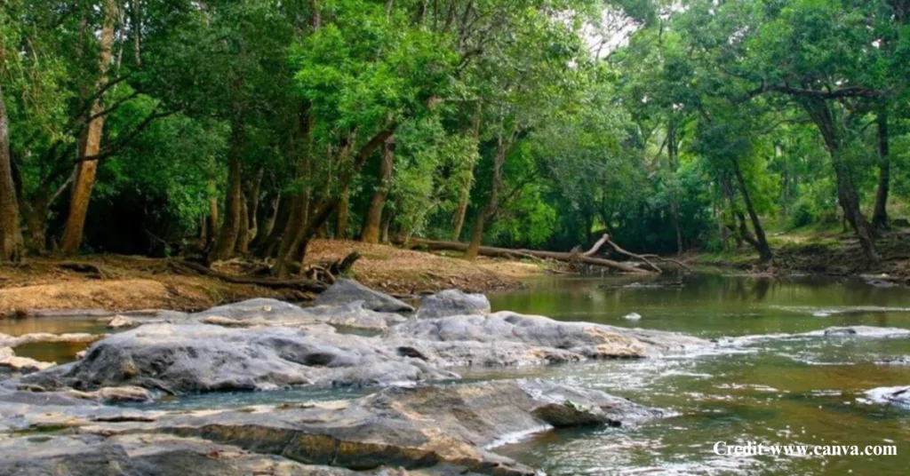 wayanad