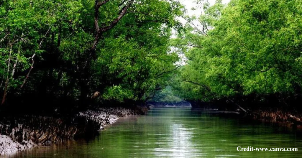 Best Time to Visit Sundarban