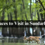 Places to Visit in Sundarban