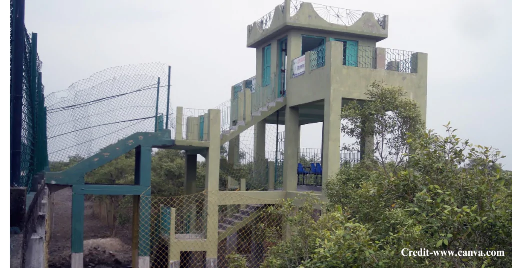 Sajnekhali Watchtower