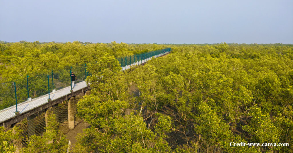 Dobanki Canopy Walk