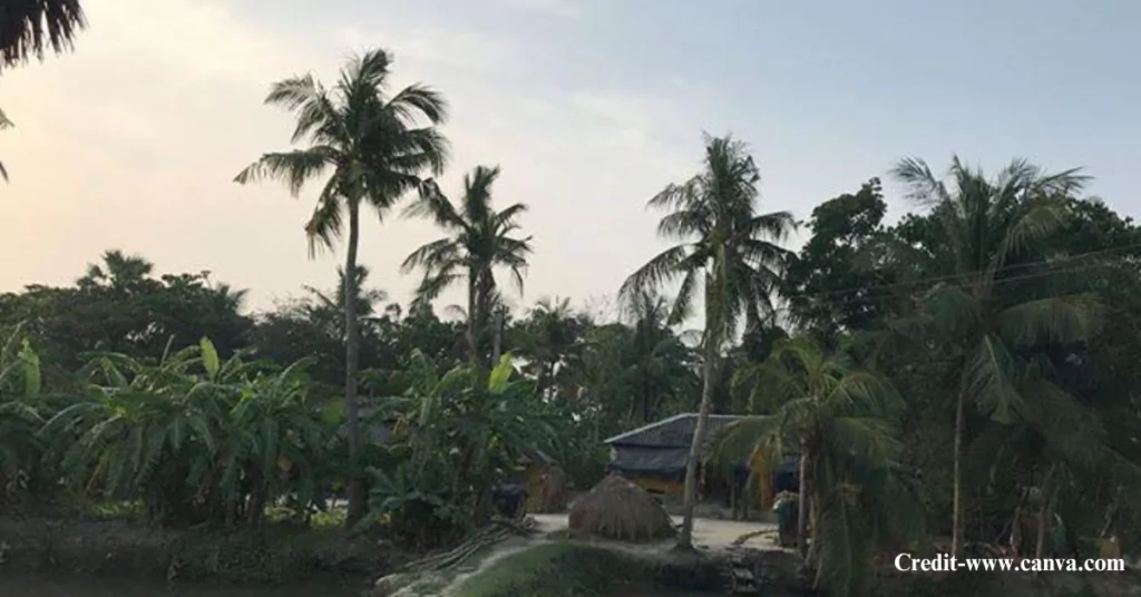 Pakhiralaya Village