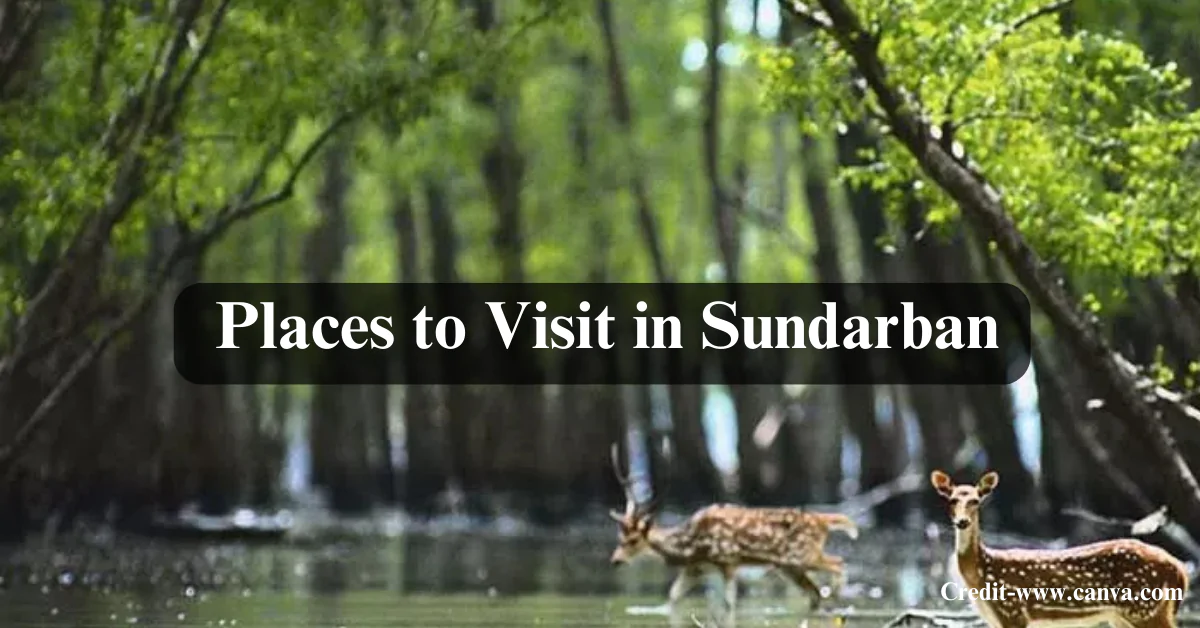 Places to Visit in Sundarban