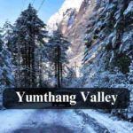 Yumthang Valley