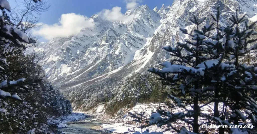 Yumthang Valley Snow Season