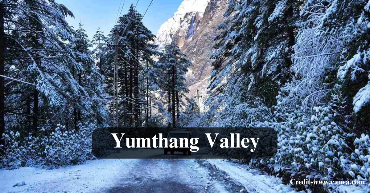 Yumthang Valley