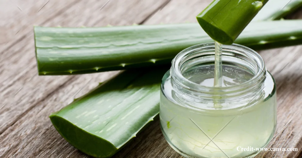DIY Homemade Natural Shampoo Recipes