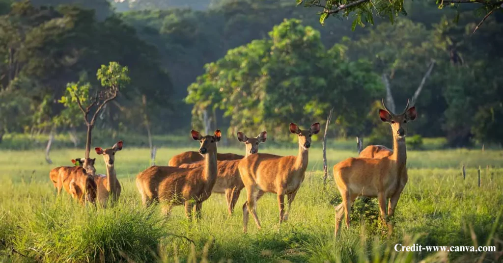 Best Places to Visit Near Hyderabad Within 300 km
