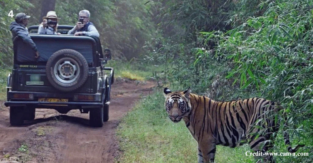 Best Time to Visit Pachmarhi